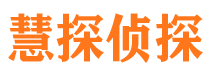 湖滨侦探公司